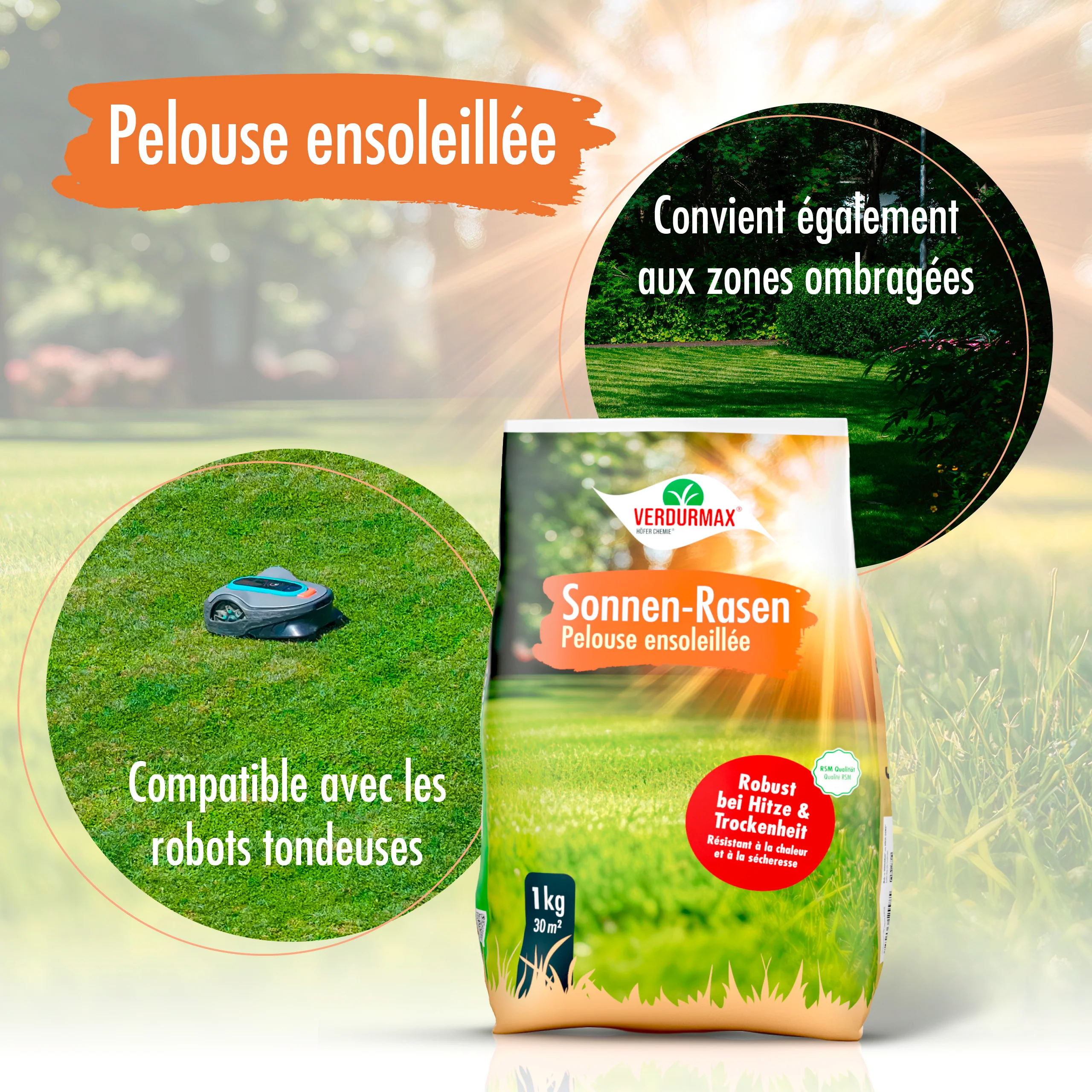 1 kg VERDURMAX® Trockenrasen Samen - Image 12