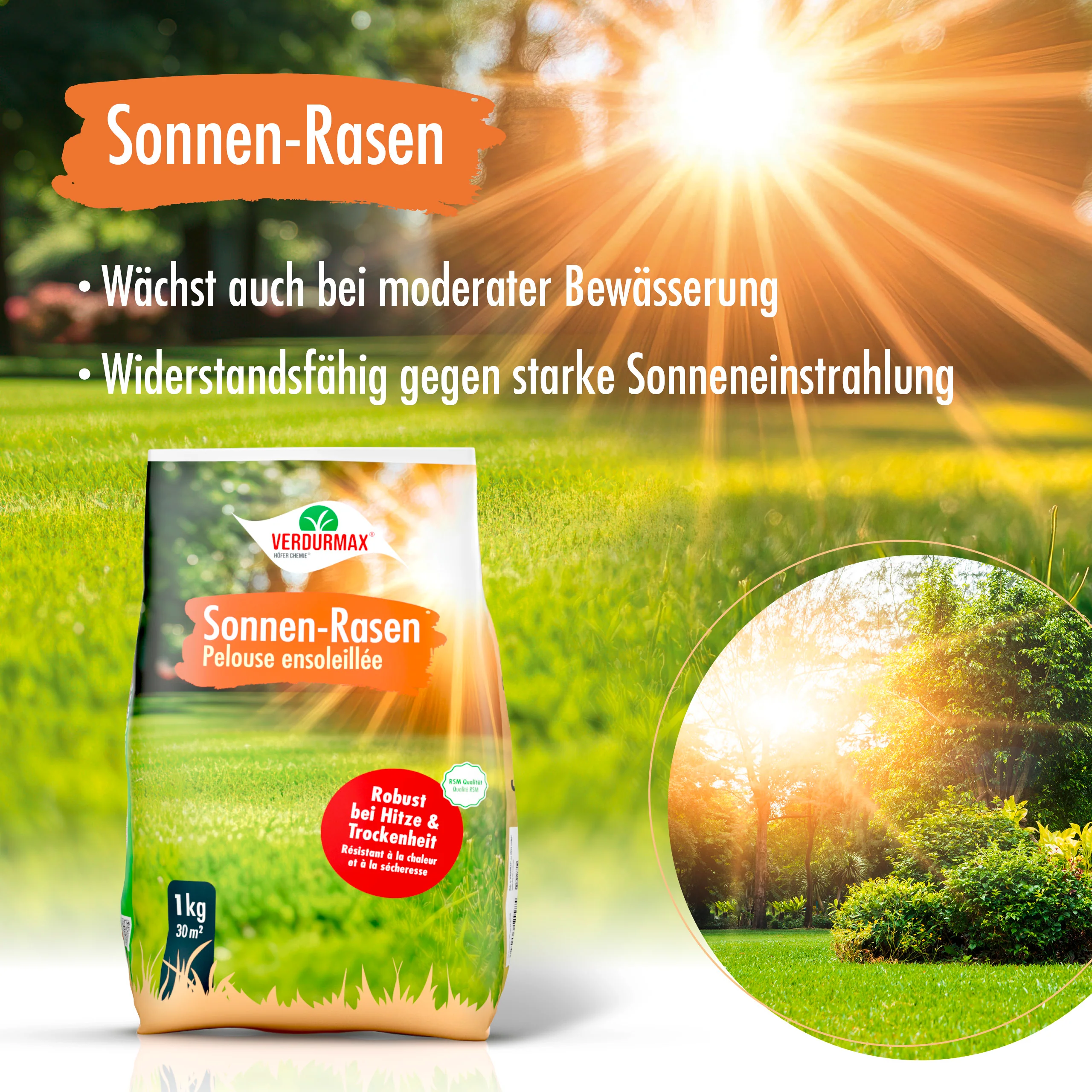1 kg VERDURMAX® Trockenrasen Samen - Image 4