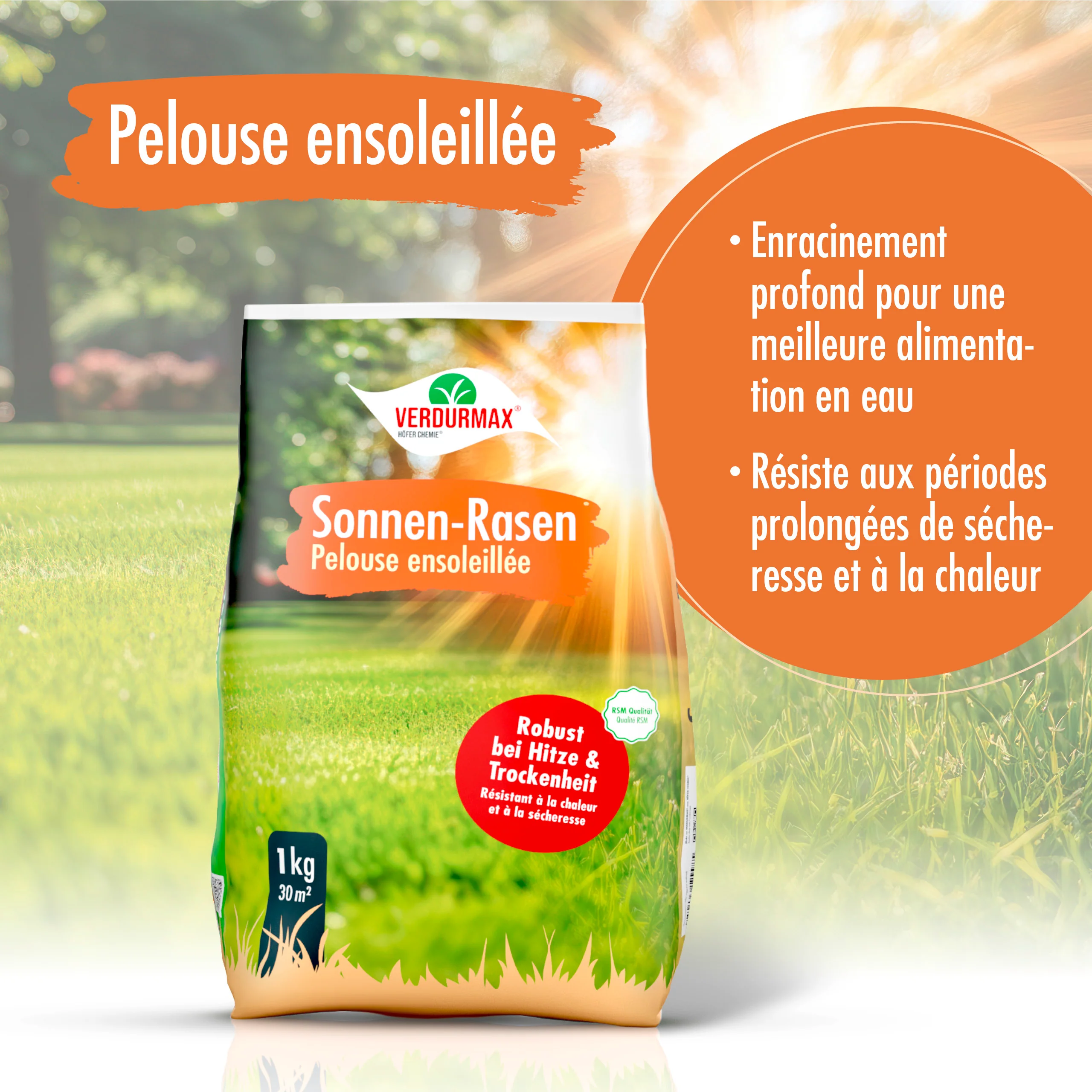1 kg VERDURMAX® Trockenrasen Samen - Image 9