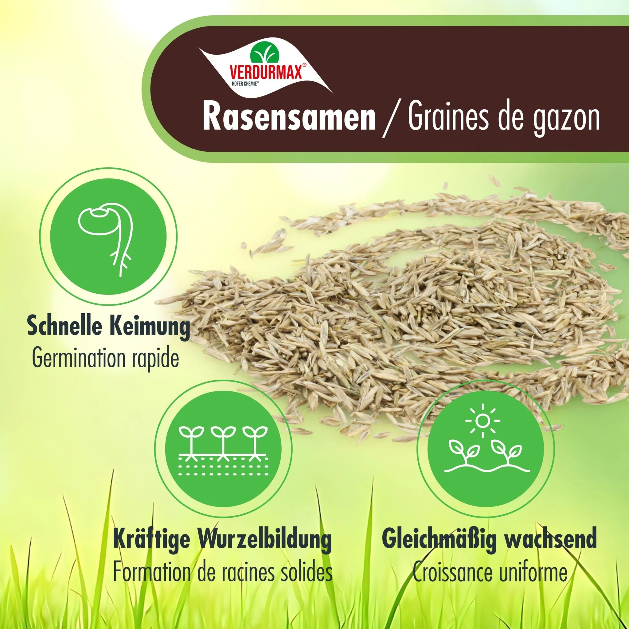 1 kg VERDURMAX® Rasensamen - Image 3