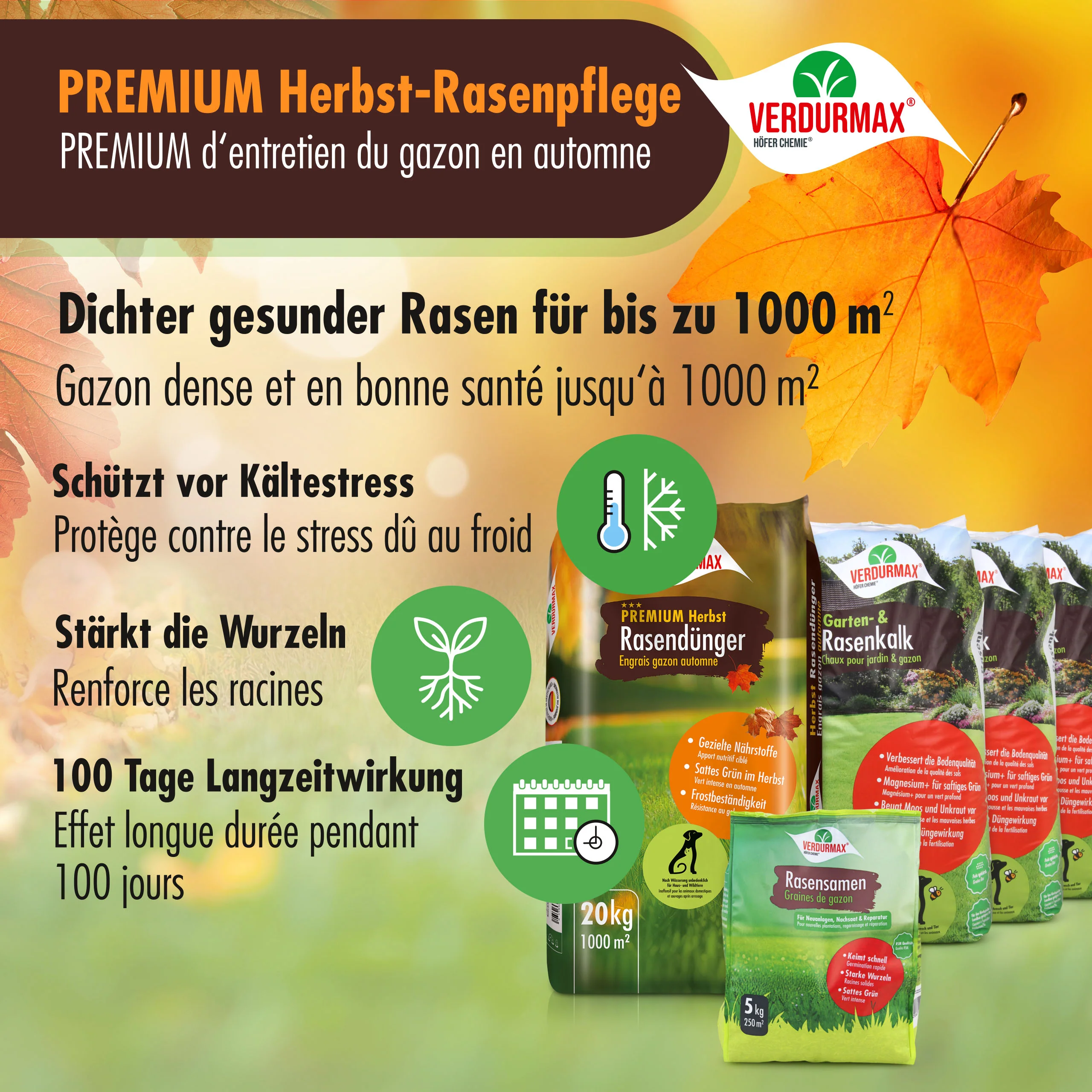 VERDURMAX® Herbst-Rasenpflege Komplett-Set 1000 m² - Image 4